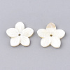 Freshwater Shell Beads SHEL-S274-09-2