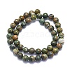 Natural Rhyolite Jasperyc Beads Strands G-K310-C01-8mm-2