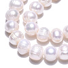 Natural Cultured Freshwater Pearl Beads Strands X-PEAR-N013-17N-01-4