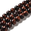 Natural Gemstone Beads Z0RQQ014-1