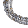 Natural Freshwater Shell Beads Strands X-SHEL-P017-01A-13-3