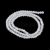 Transparent Glass Beads Strands LS-EGLA-A044-T4mm-MB19-4