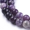 Natural Lepidolite/Purple Mica Stone Beads Strands G-K415-10mm-4