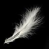 Fashion Feather Costume Accessories FIND-Q040-04A-2