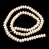 Natural Fossil Bead Strands G-D344-A23-4
