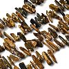 Natural Pietersite Beads Strands G-L649-D03-02-2