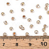 8/0 Glass Seed Beads X1-SEED-A017-3mm-1107-3