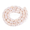 Electroplate Opaque Glass Beads Strands EGLA-Q132-03B-C02-2