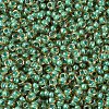 MIYUKI Round Rocailles Beads SEED-JP0008-RR0374-3