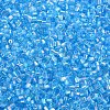 Glass Bugle Beads SEED-S032-10A-163-3