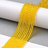 Transparent Glass Beads Strands LS-GLAA-H021-04-06-3