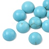 Craft Findings Dyed Synthetic Turquoise Flat Back Dome Cabochons X-TURQ-S266-6mm-01-3