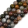 Natural Ocean Agate/Ocean Jasper Beads Strands G-G772-06-B-01-1