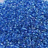 MIYUKI Delica Beads X-SEED-J020-DB0177-3