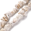 Magnesite Chip Bead Strands G-M205-75-3