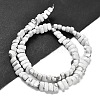 Natural Howlite Beads Strands G-Q167-B02-01-3