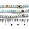 Natural Howlite Beads Strands G-H025-03C-09-5