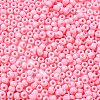 Baking Paint Glass Seed Beads SEED-H002-I-A534-3