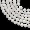 Natural Rainbow Moonstone Beads Strands G-B168-A11-2mm-4
