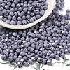 Baking Painted Glass Seed Beads SEED-C004-01A-1