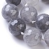 Natural Cloudy Quartz Beads Strands G-E524-08-25mm-3