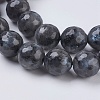 Natural Larvikite Beads Strands X-G-G542-10mm-27-3