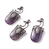 Natural Amethyst Pendants G-F639-09B--B-2