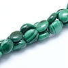 Natural Malachite Beads Strands G-D0011-11B-1