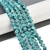 Synthetic Turquoise Beads Strands G-A257-A14-01-2