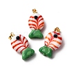 Handmade Lampwork Pendants LAMP-A007-01G-02-03-1