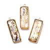 Brass Enamel Pendants KK-K252-10G-05-1