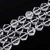 Natural Quartz Crystal Beads Strands G-P534-A23-02-4
