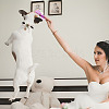 Plastic Artificial Leaf & Velvet Dog Ring Bearer HJEW-DR00077-5