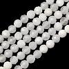 Natural Rainbow Moonstone Beads Strands G-B168-A11-4mm-2