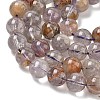 Natural Purple Phantom Quartz Purple Lodolite Quartz Beads Strands G-L644-D01-10mm-4
