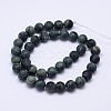 Natural Kambaba Jasper Beads Strands G-D744-10mm-2