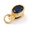 Real 18K Gold Plated Brass Inlaid Cubic Zirconia Charms ZIRC-L100-079G-02-4