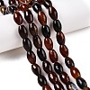 Natural Agate Beads Strands G-T138-180B-1