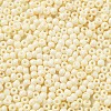 Baking Paint Glass Seed Beads SEED-H002-I-A518-3