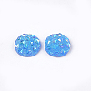 Resin Cabochons LS-CRES-T012-01G-2