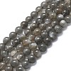 Natural Grey Moonstone Beads Strands G-K245-A05-02-1