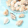 Natural Conch Shell Beads X-BSHE-O007-57-5