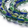 Handmade Lampwork Beads Strands LAMP-F014-F08-B-2