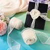 Polyester Deco Mesh Ribbons OCOR-TAC0024-004F-8