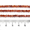 Natural South Red Agate Beads Strands G-Z074-A02-01B-5