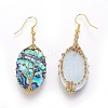 Abalone Shell/Paua Shell Dangle Earrings EJEW-L235-02G-2