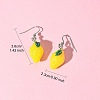 AB Color Resin Dangle Earring EJEW-FS00011-4