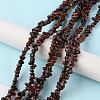 Natural Mahogany Obsidian Beads Strands G-G0003-B31-2