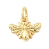 Brass Pendants KK-H267-075G-1