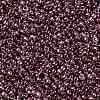 TOHO Round Seed Beads X-SEED-TR15-0201-2